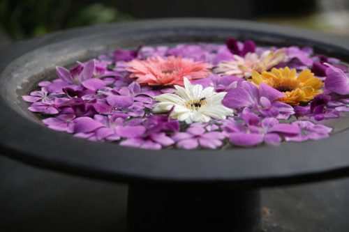 Borought of Wellness PR Public Relations Consultancy Travel Nutrition Events Holistic Health Beauty Fitness Apparel Accessories Ariadna's Thread